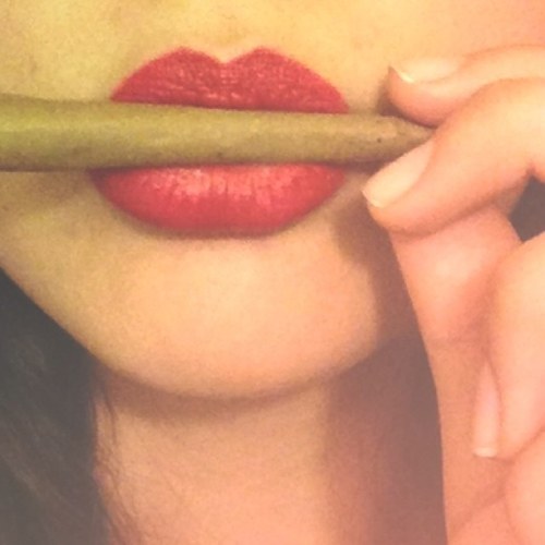 roll one up with me #stonernation I ain't here for a long time, I'm here for a good time. #stayhigh