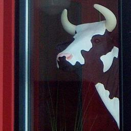 BallyhooIceCrm's profile picture. Purveyors of Fine Ice Cream & Candy