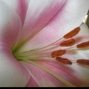 Vicky Ward - @VickyWard01 - Twitter