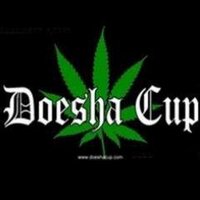 Doesha Cup (@doeshacup) 's Twitter Profile
