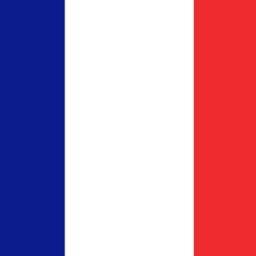 french_info_ Profile Picture