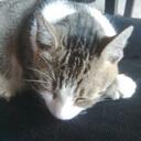 Jami Cooper - @Jamelina - Twitter