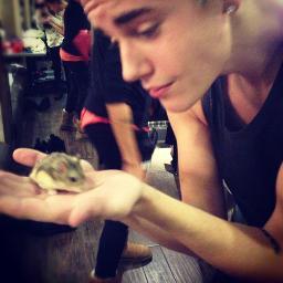 Belieber | #TeamKridauhl | #TeamBieber | @JustinBieber Please Follow me
