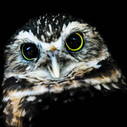 codeCanvasDev's profile picture. Open source, visual application that allows you to rapidly create layouts using pre-defined blocks of HTML, Javascript and CSS. It writes the code for you.