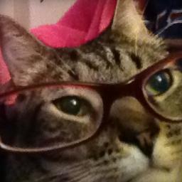 BigNorte's profile picture. 