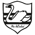 Carrick Swan Hurling, Football, & Camogie Club. Carrick on Suir, Co. Tipperary