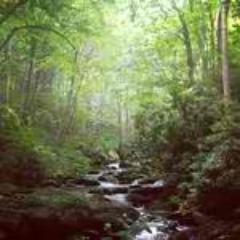 liveenow's profile picture. Live the life God has given to you. Cherish it, and make the most out of it!