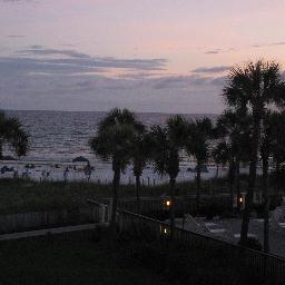 Houseelf1991's profile picture. 