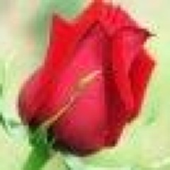 Singer-songwriter..Love God, My Family & Music!  Kindness Is a Virtue..Never Forget That, Free-Spirit! Real Sweet lol, worked for ABC-TV 10yrs LoveLivesForever!