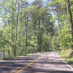 bethelastone's profile picture. 