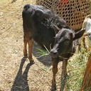 Nathaniel Goss - @mr_pistachio_ - Twitter