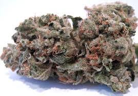#STONERZFORLIFE need bud in chicago? fallow @CHICAGOLOUDMAN