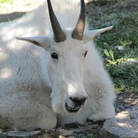 Shaun Coutts (@shauncoutts1) 's Twitter Profile