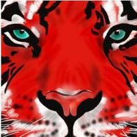 SJMSTigerPride (@sjmstigerpride) 's Twitter Profile