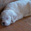 Tammy Schweitzer - @TammySchweitze1 - Twitter