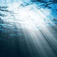 Malex (@alexestragon) 's Twitter Profile