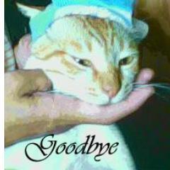 My Name is Frankie... Fans of @officialJKT48, @nabilahJKT48, @TheRealOda, and @LArc_official :)
I Love My Jesus & My Family...
