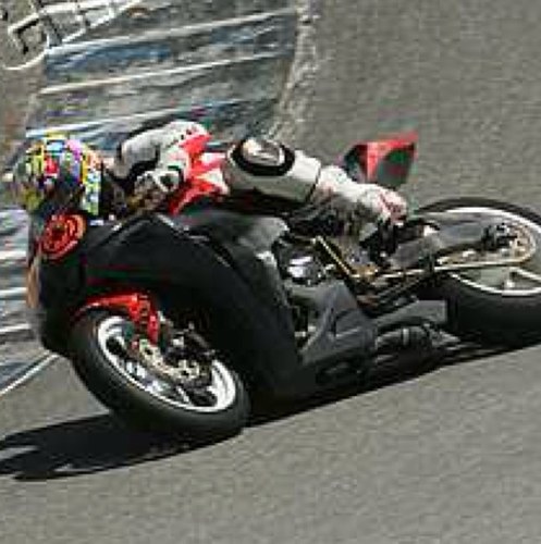 Bucky_Sac's profile picture. 