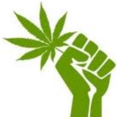 Support politicians who support marijuana smokers. Prohibition benefits criminals instead of farmers. WAKE UP! #p4p