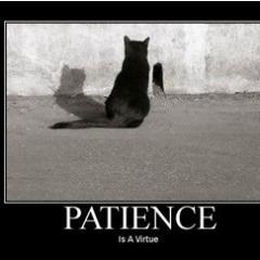 LabSpice's profile picture. 