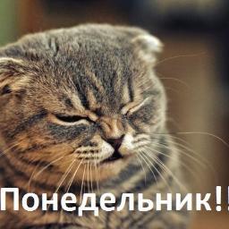 Cobray77's profile picture. Я это я)