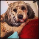 Daniel wootton - @DanielWootton89 - Twitter