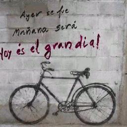 Somos las palabras que dicen lo que somos.