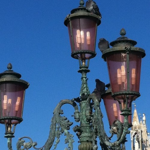 soline16's profile picture. 