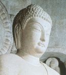 laybuddhist Profile Picture