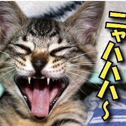 クスッ！と笑えるつぶやきを研究中！笑いの拡散希望！
気軽にフォローミー☆☆☆