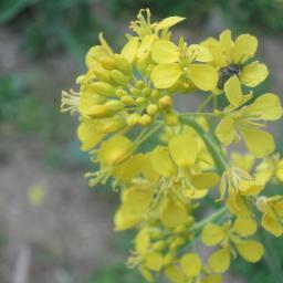 leaveORlive's profile picture. 