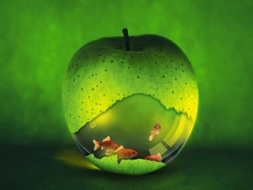 andre_marhendra's profile picture. 