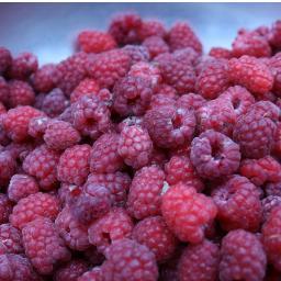 Loessssssssss's profile picture. 