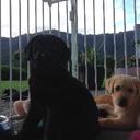 emma jane bendall - @emmajanebendall - Twitter