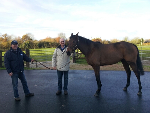 Old enough to know...better. Proud South Australian. Pictured with the great Goldikova.