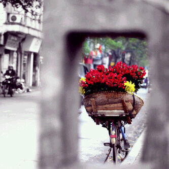 11A300's profile picture. 