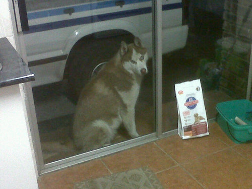 sidneydesai's profile picture. trucker