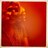 KristenWilliam8's profile image