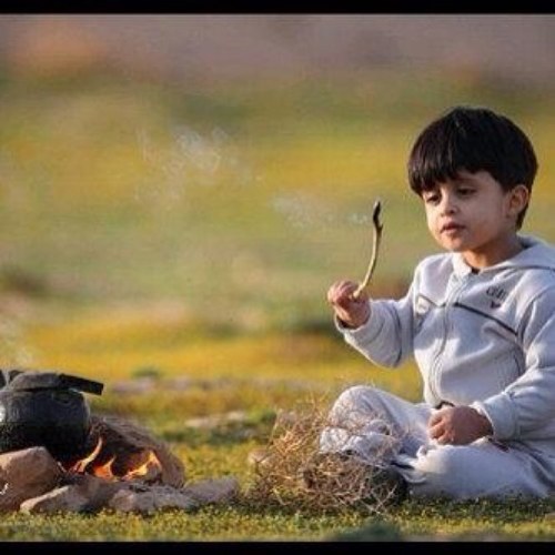 BoMohammed0's profile picture. 