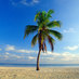 Zubi Travel (@zubitravel) Twitter profile photo Zubi Travel (@zubitravel) Twitter profile photo
