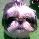 Robert Roybal - @lilbitgizmo - Twitter