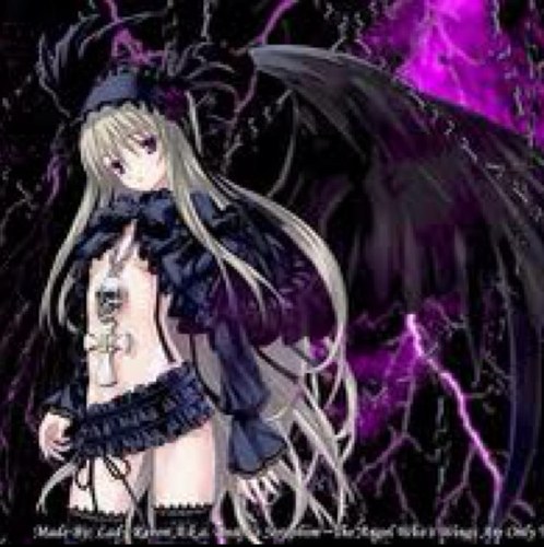 I fell from the skies over a thousand years ago. I am a fallen angel, cast out of heaven and despised by hell. I am to forever dwell on earth. My names Akane!