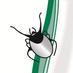 Lyme Disease Action (@lymeaction) Twitter profile photo Lyme Disease Action (@lymeaction) Twitter profile photo