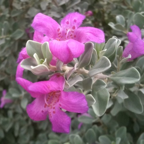 beausawyer's profile picture. 