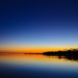 mmbusch66's profile picture. 