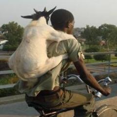 Banikoudian's profile picture. General Secretary @Sahel2R3S #Sahel #Mali #Election #Geopolitics