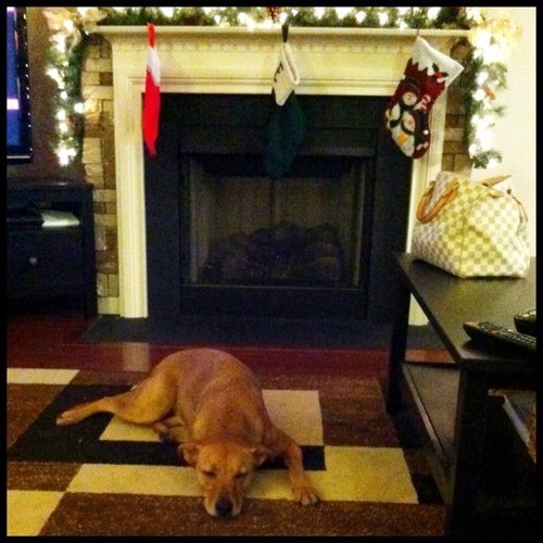 AlwaysPollyanna's profile picture. 