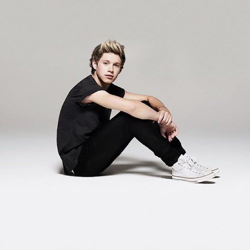 . Mi piaciono gli one direction , il mio preferito tra gli 1d e' NIALL HORAN, il mio comleanno e' il 17 gennaio