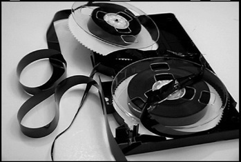 SBNeanne's profile picture. 