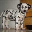 Jon Goldsmith - @JonGoldsmith3 - Twitter